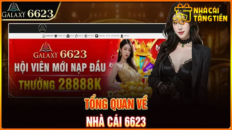 6623-2