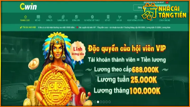 CWIN (5)